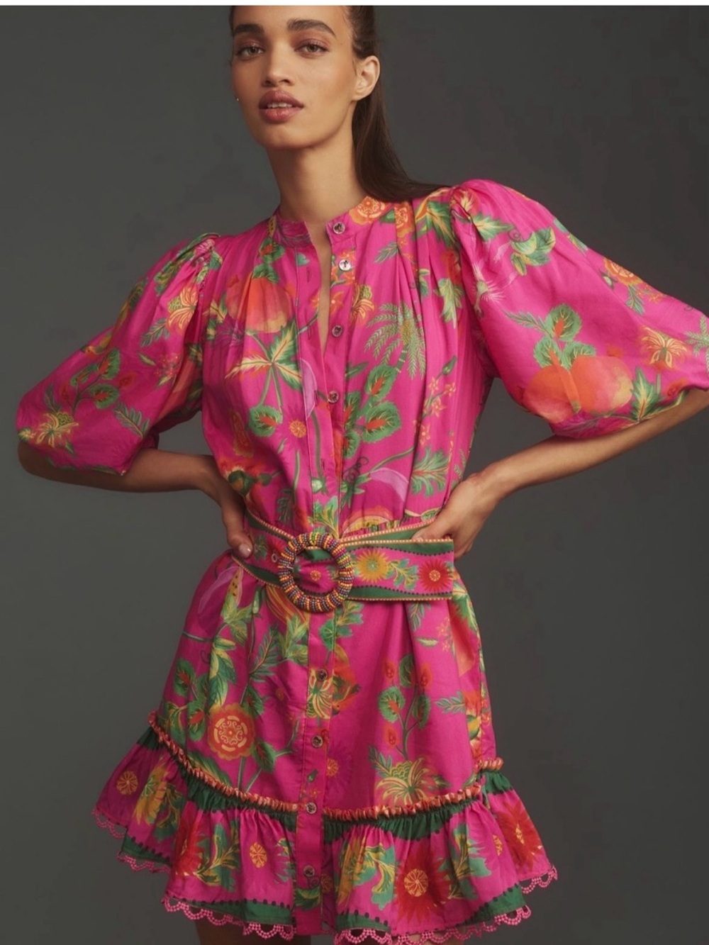 Worn Once FARM Rio Delicate Fruit Garden Mini Dress